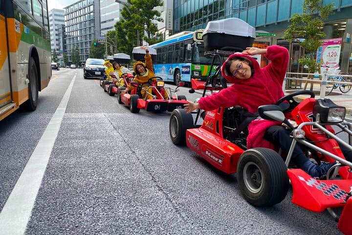 Akihabara: Go-Kart Experience with Local Guide in Tokyo — photo 3