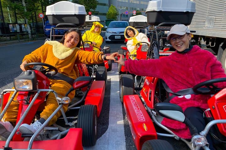 Akihabara: Go-Kart Experience with Local Guide in Tokyo — photo 5
