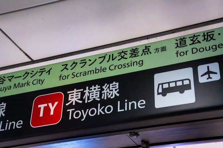 1-Day Tokyo Highlights Shore Excursion: Private Car from Yokohama — photo 14