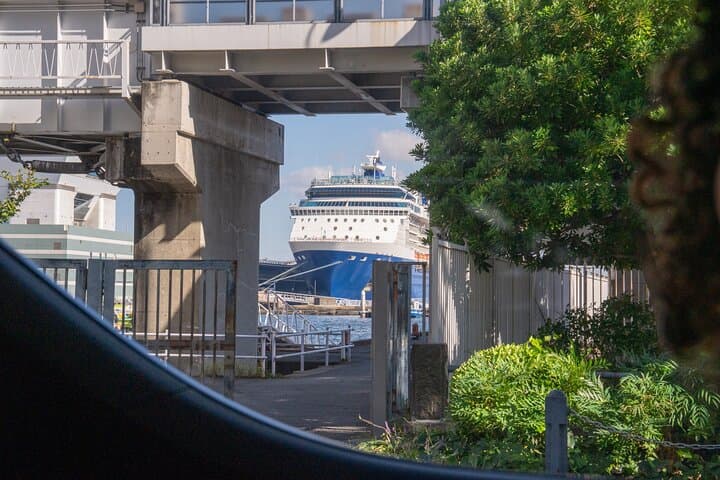 1-Day Tokyo Highlights Shore Excursion: Private Car from Yokohama — photo 15