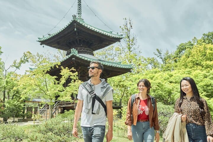 Cruise Stop-Over: Private Custom Day trip to Osaka from Kobe Port — photo 3