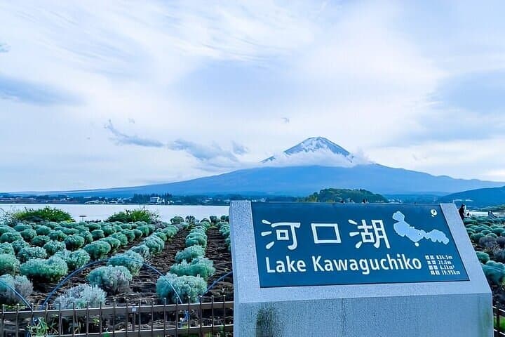 1 Day Private Tour of Mt. Fuji and Hakone with English Driver — photo 8