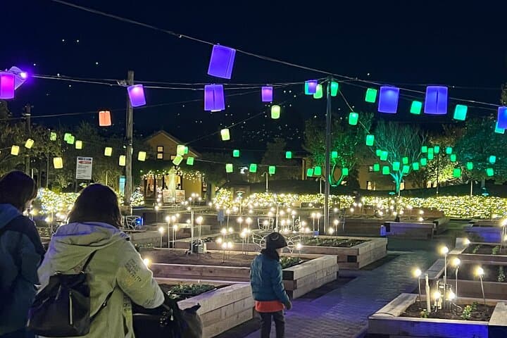 Nagoya : Private Nabana no Sato Tour : Illuminations & Shopping — photo 9