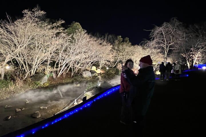 Nagoya : Private Nabana no Sato Tour : Illuminations & Shopping — photo 13