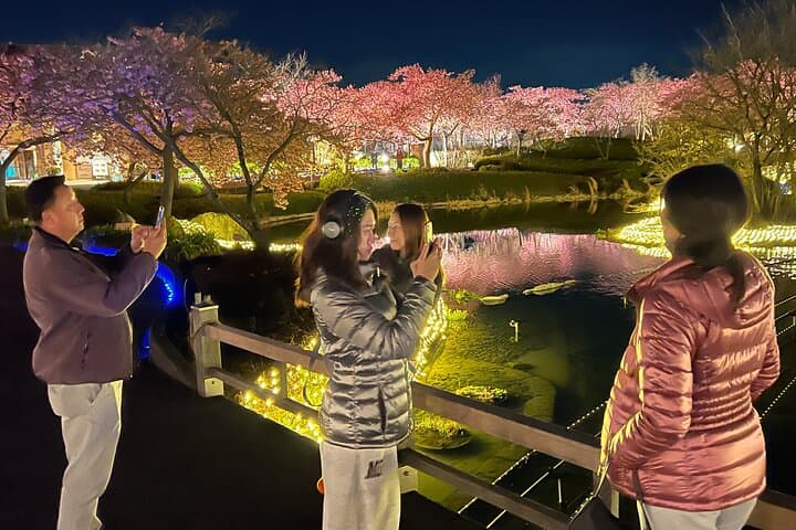 Nagoya : Private Nabana no Sato Tour : Illuminations & Shopping — photo 15