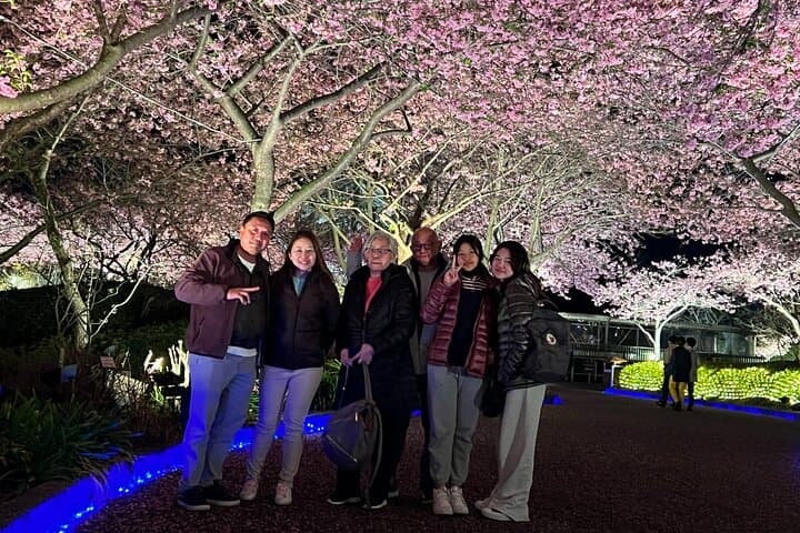 Nagoya : Private Nabana no Sato Tour : Illuminations & Shopping — photo 14