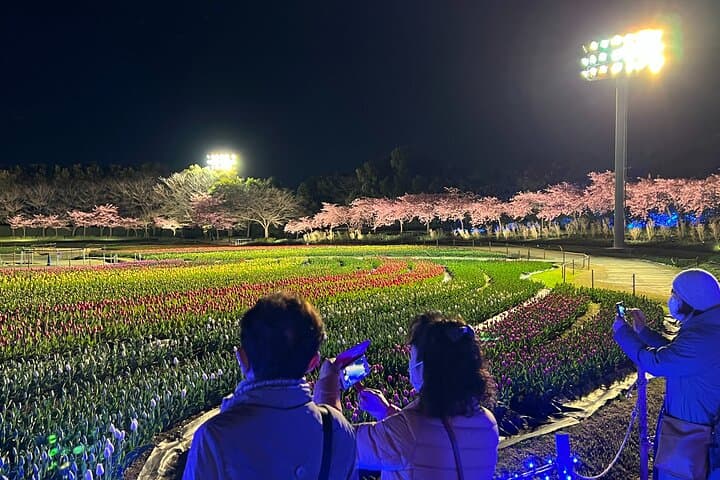 Nagoya : Private Nabana no Sato Tour : Illuminations & Shopping — photo 16