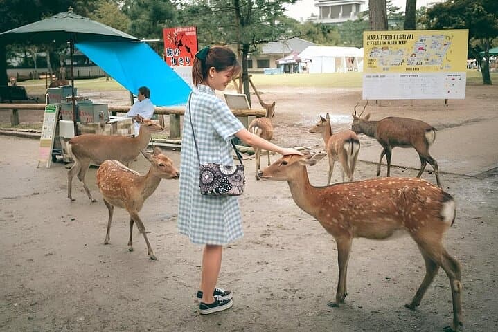 Nara Unlocked With a Private Car Tour from Kyoto by Guide — photo 6