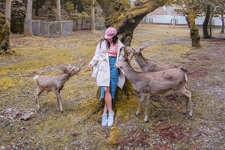 Nara Unlocked With a Private Car Tour from Kyoto by Guide — photo 1