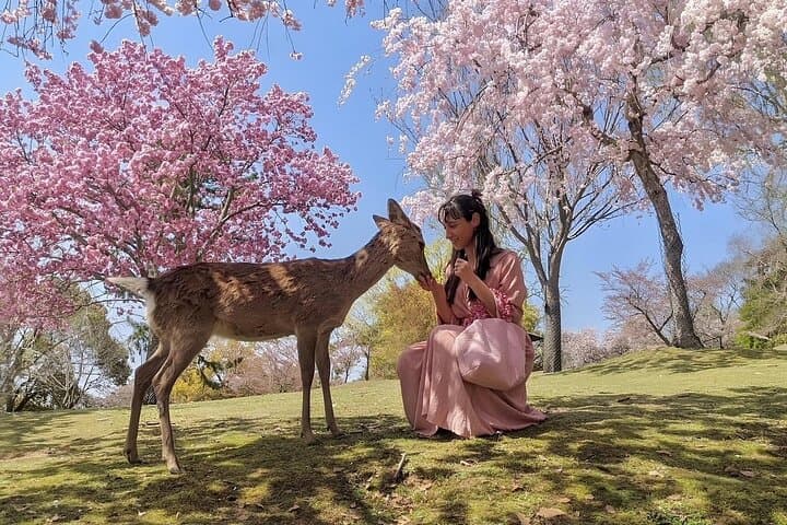 Nara Unlocked With a Private Car Tour from Kyoto by Guide — photo 10
