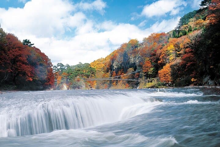 Fukiaware Falls Harada Fruit Picking and Lavender Flower Sea Trip — photo 4