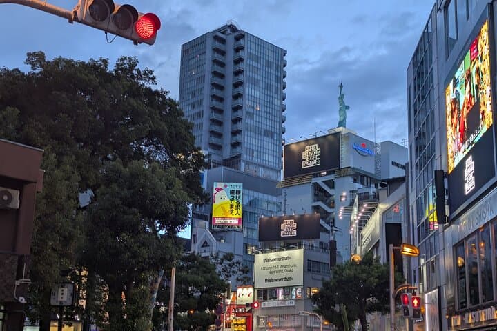 Private Walking Tour of Osaka with Local Experts — photo 7