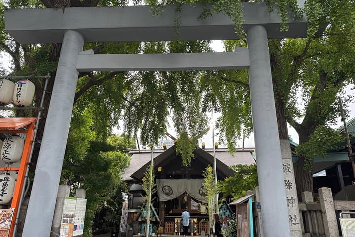 Explore Tsukiji with a Sushi Chef — photo 6