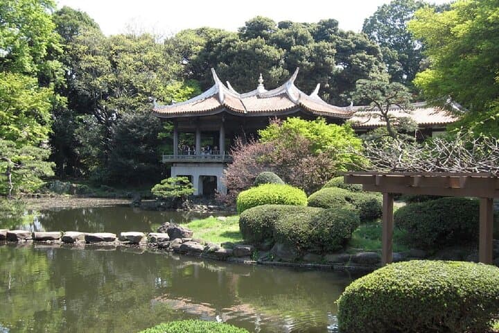 Shinjuku Gyoen National Garden 2 Hour Walking Tour — photo 6