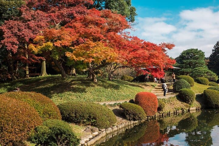 Shinjuku Gyoen National Garden 2 Hour Walking Tour — photo 3