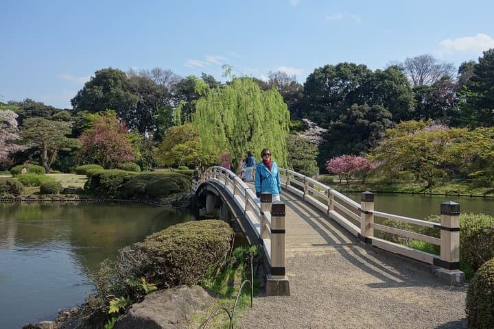Shinjuku Gyoen National Garden 2 Hour Walking Tour — photo 7