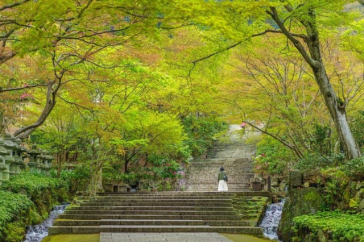 Minoh Katsuoji Temple Walking Tour with Local Guide — photo 6