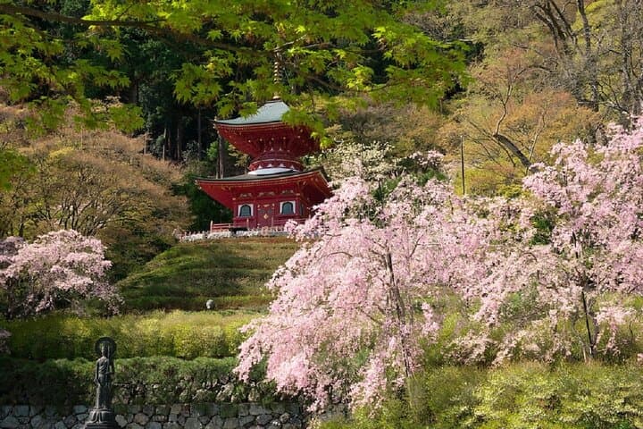 Minoh Katsuoji Temple Walking Tour with Local Guide — photo 5