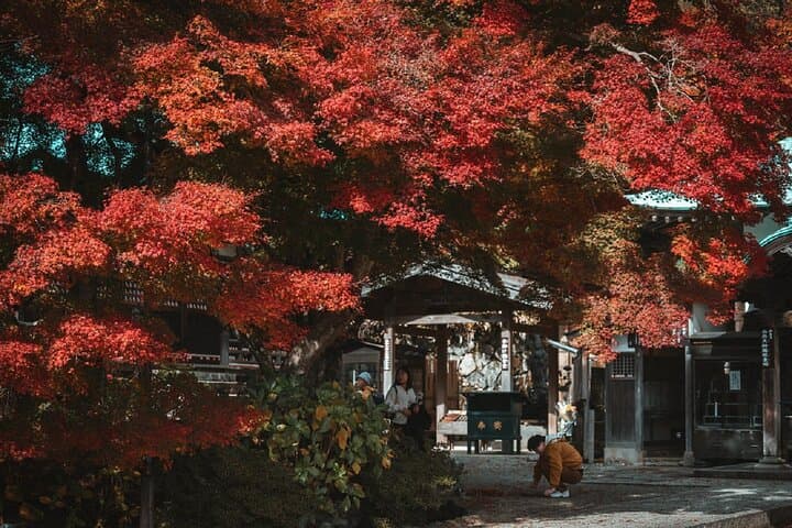 Minoh Katsuoji Temple Walking Tour with Local Guide — photo 9