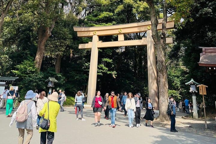 Meiji Shrine Sacred Forest and Shinto Traditions Walking Tour — photo 3