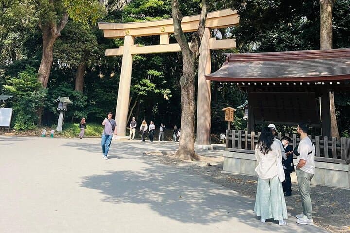 Meiji Shrine Sacred Forest and Shinto Traditions Walking Tour — photo 2
