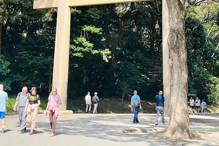 Meiji Shrine Sacred Forest and Shinto Traditions Walking Tour — photo 4