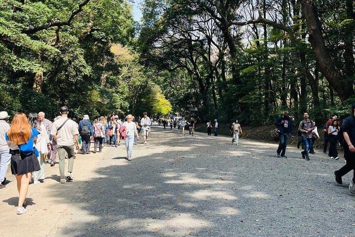 Meiji Shrine Sacred Forest and Shinto Traditions Walking Tour — photo 5