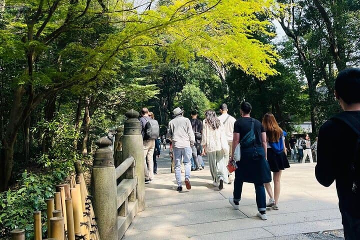 Meiji Shrine Sacred Forest and Shinto Traditions Walking Tour — photo 6
