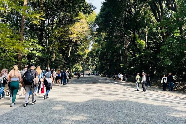 Meiji Shrine Sacred Forest and Shinto Traditions Walking Tour — photo 7