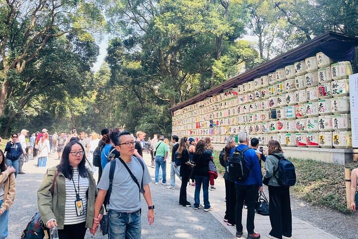 Meiji Shrine Sacred Forest and Shinto Traditions Walking Tour — photo 8