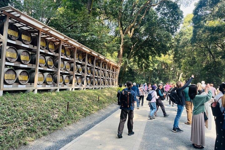 Meiji Shrine Sacred Forest and Shinto Traditions Walking Tour — photo 9