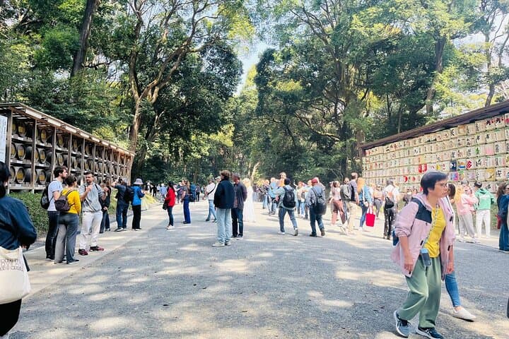 Meiji Shrine Sacred Forest and Shinto Traditions Walking Tour — photo 10