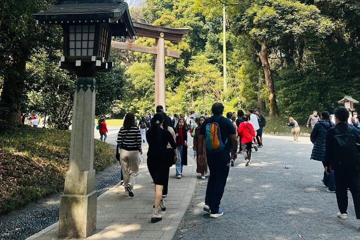 Meiji Shrine Sacred Forest and Shinto Traditions Walking Tour — photo 11