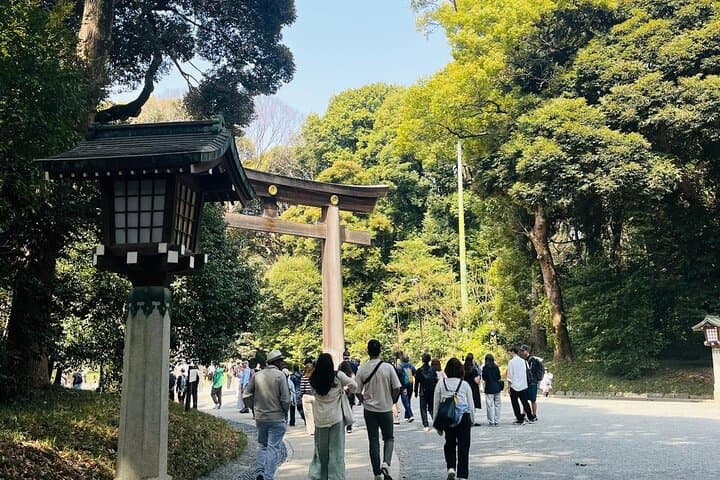 Meiji Shrine Sacred Forest and Shinto Traditions Walking Tour — photo 12