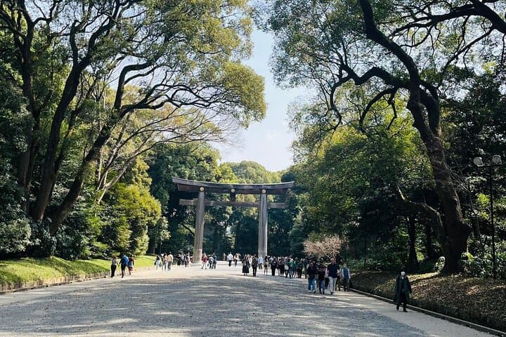 Meiji Shrine Sacred Forest and Shinto Traditions Walking Tour — photo 13