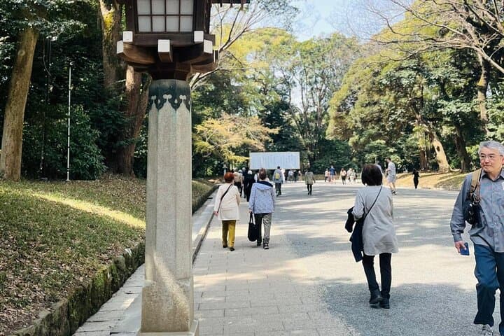 Meiji Shrine Sacred Forest and Shinto Traditions Walking Tour — photo 15