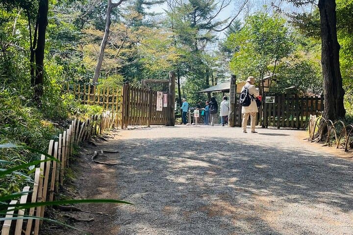 Meiji Shrine Sacred Forest and Shinto Traditions Walking Tour — photo 16
