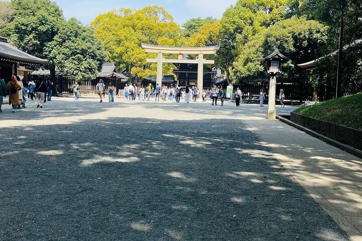 Meiji Shrine Sacred Forest and Shinto Traditions Walking Tour — photo 17