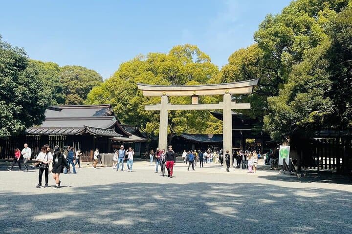 Meiji Shrine Sacred Forest and Shinto Traditions Walking Tour — photo 18