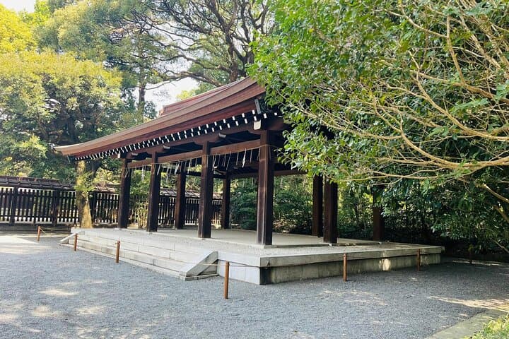 Meiji Shrine Sacred Forest and Shinto Traditions Walking Tour — photo 19