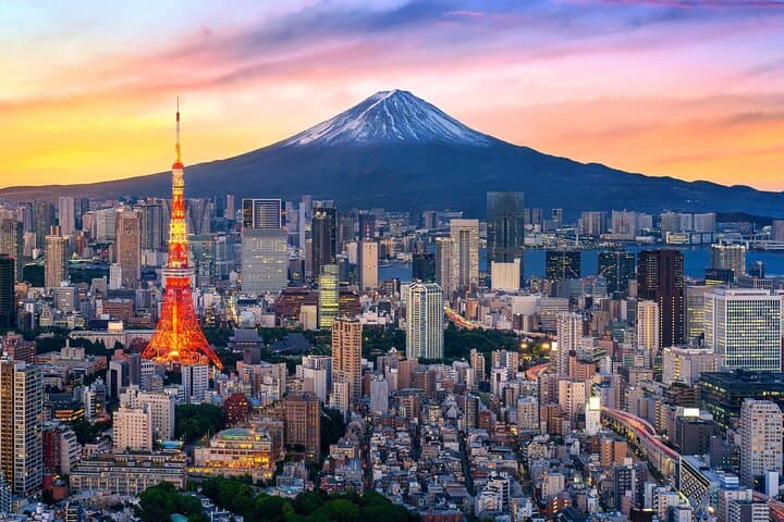 Tokyo Private Sightseeing Tour — photo 1