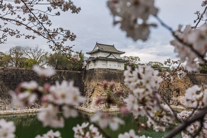 Tokyo Private Sightseeing Tour — photo 4