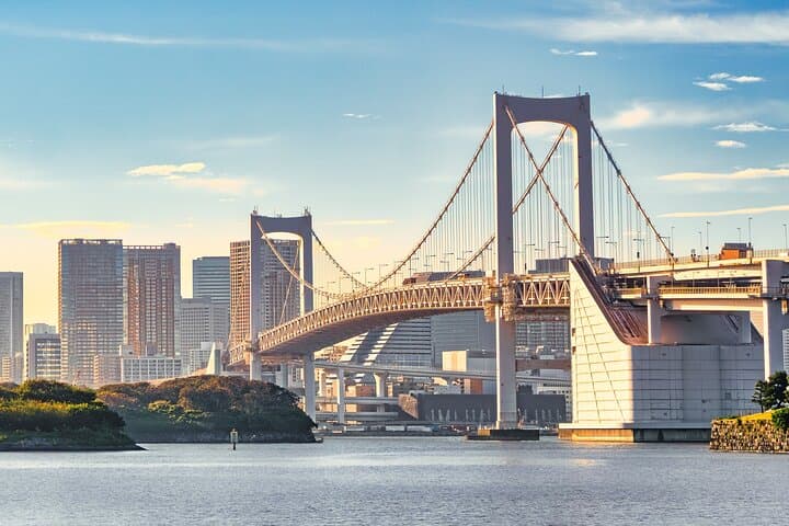 Tokyo Private Sightseeing Tour — photo 5