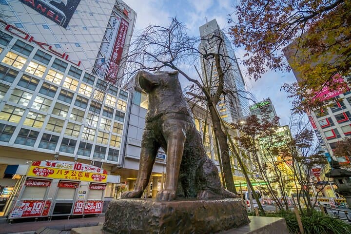 Tokyo Private Sightseeing Tour — photo 6