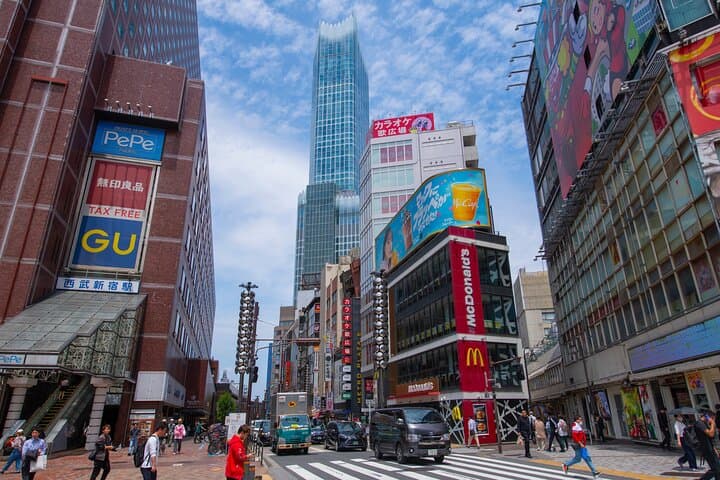 Tokyo Private Sightseeing Tour — photo 7