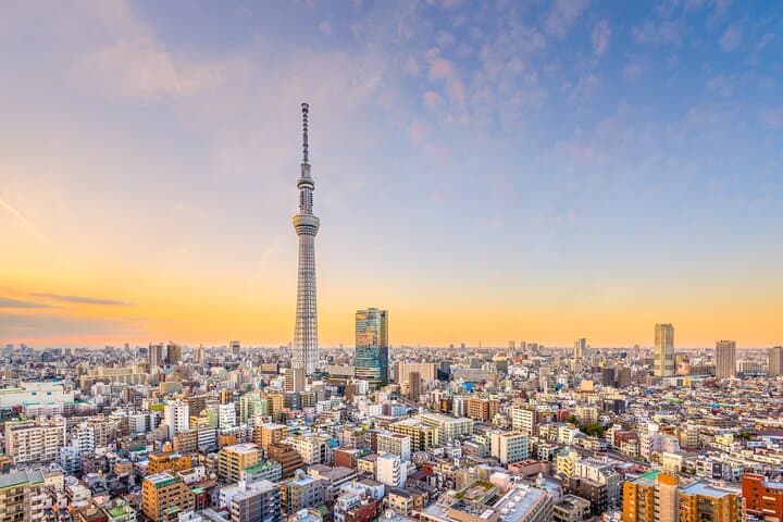 Tokyo Private Sightseeing Tour — photo 8