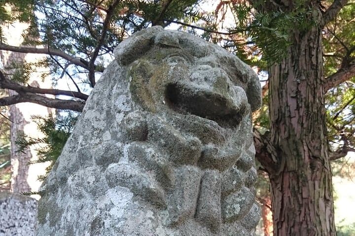 Matsumoto City and Trail Guided Run — photo 2