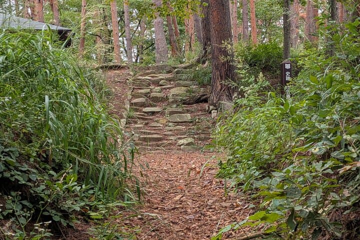 Matsumoto City and Trail Guided Run — photo 3