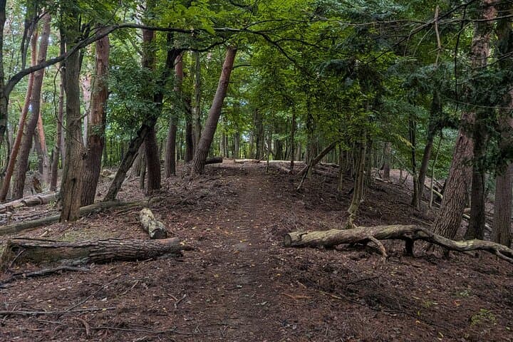 Matsumoto City and Trail Guided Run — photo 4