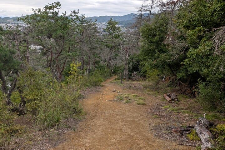 Matsumoto City and Trail Guided Run — photo 6